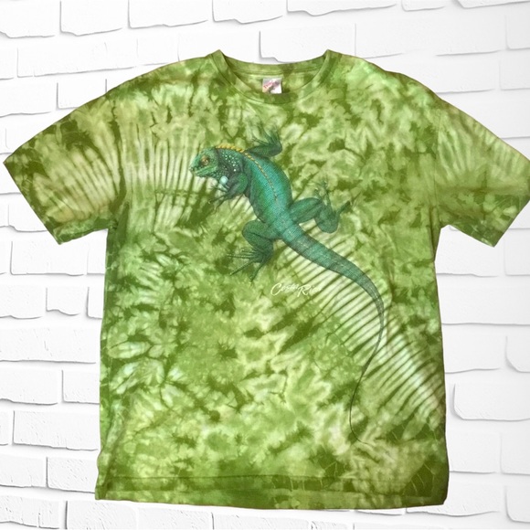 tropic joes | Shirts | Vtg Y2k Costa Rica Green Iguana Tie Dye T Shirt Large Tropic Joes Boho ...